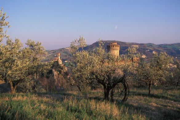 250422-Brisighella 250422-Brisighella