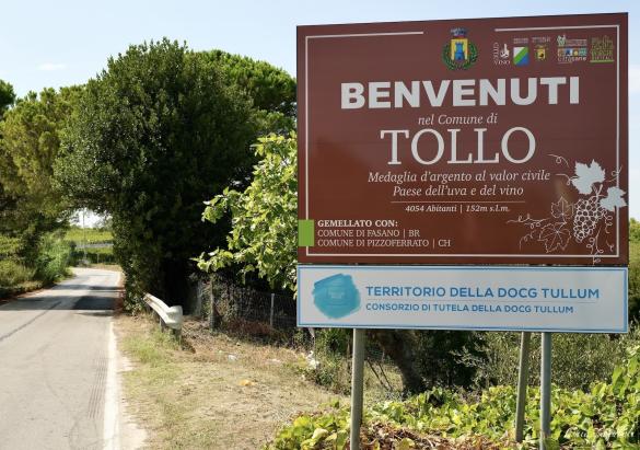 260902-Tollo